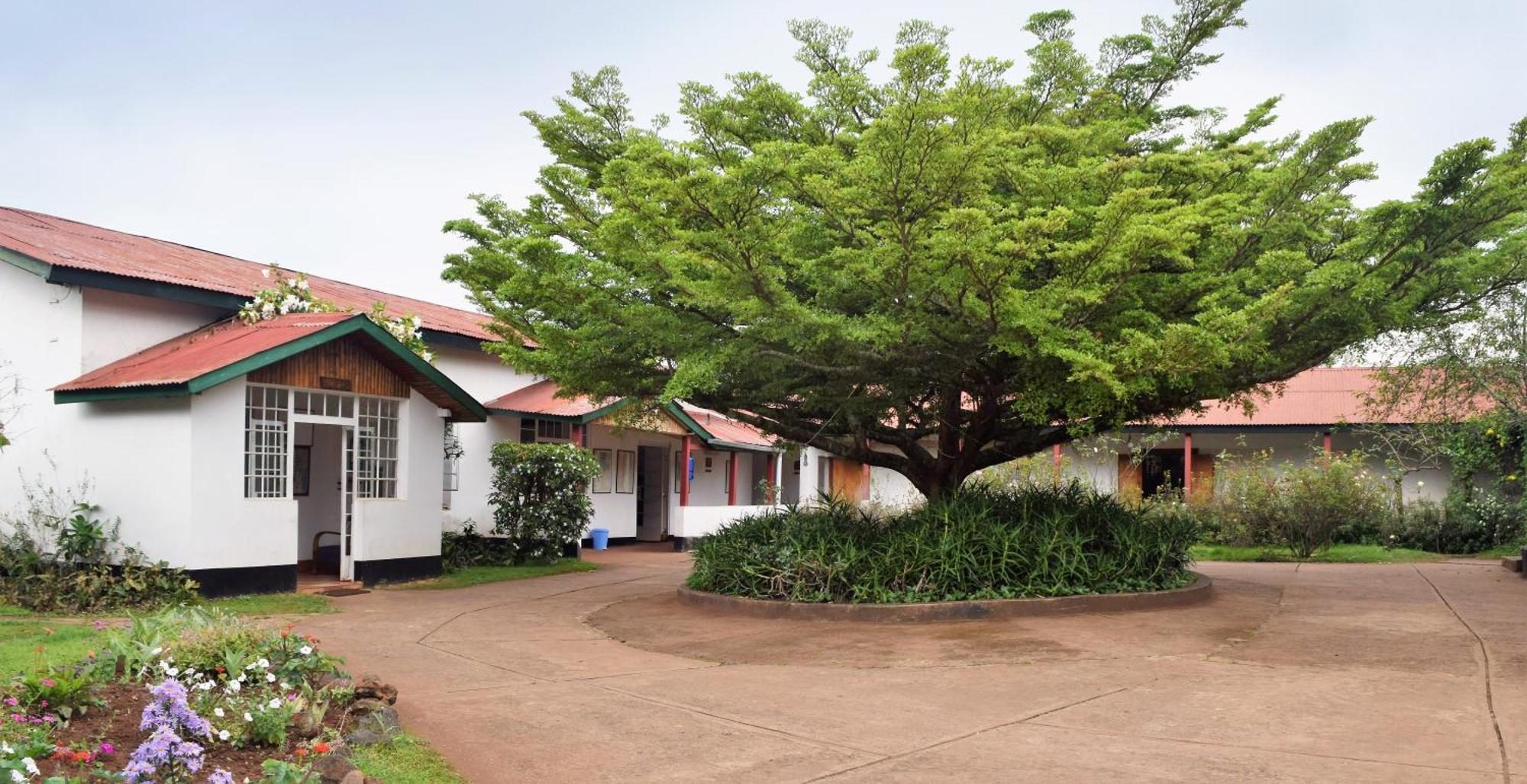 Marangu Hotel Exteriér fotografie